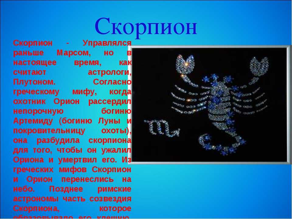 Все о скорпионе: интересные факты и особенности знака зодиака