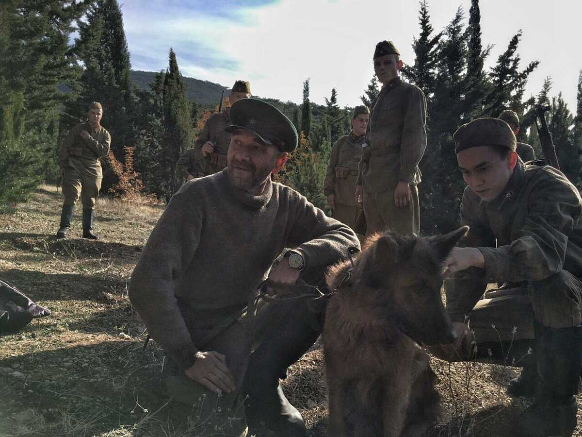 Сериал «джульбарс»: что на самом деле произошло под легедзино