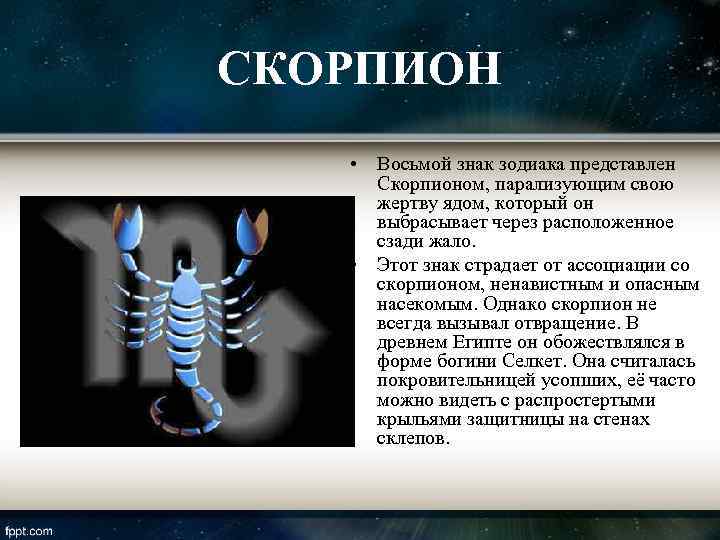 Мужчина-скорпион: характеристика в любви и постели | знаки зодиака
