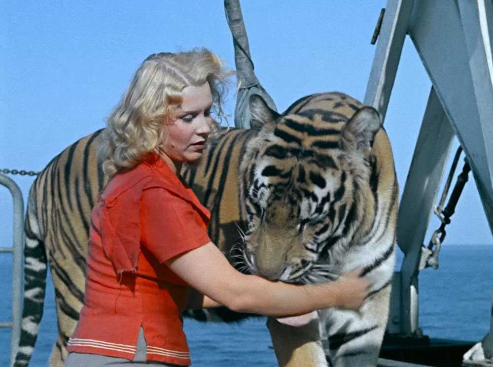 Фильм «укротительница тигров»(1954): роли, фильм, актеры, съемки