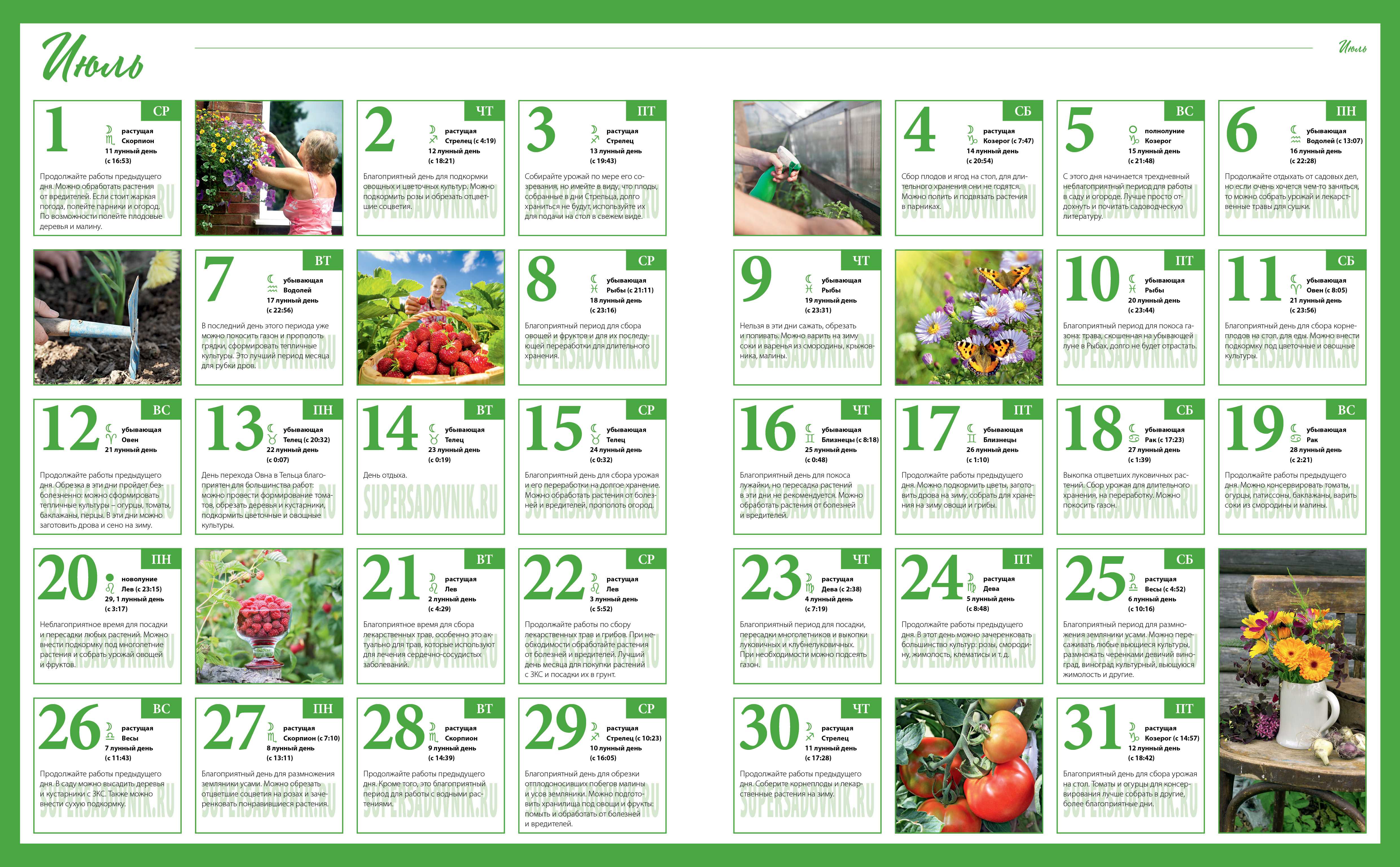 Лунный посевной календарь садоводов, огородников, цветоводов на февраль 2020 года