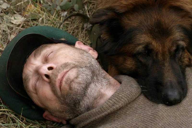 Сериал джульбарс чем закончится?