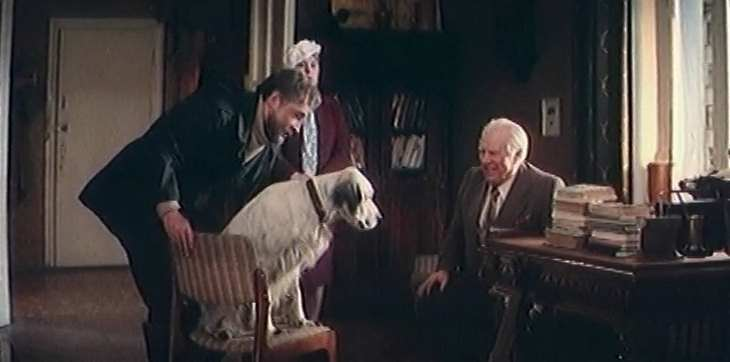 15 сентября 1977 года на советские экраны вышел фильм Белый Бим Черное ухо
