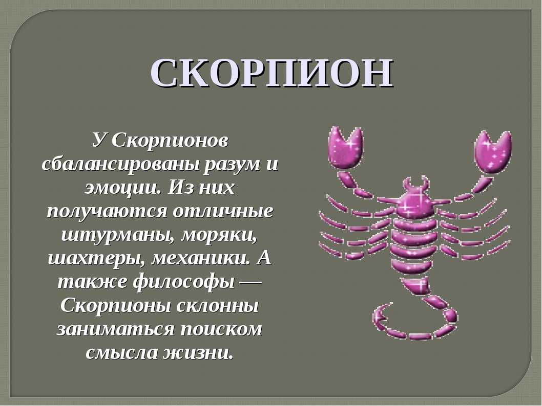 Знак зодиака скорпион 24.10 по 22.11: характер и характеристика женщин, мужчин, детей