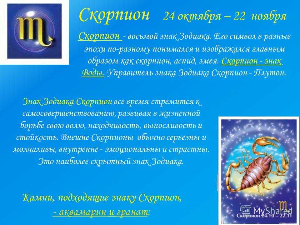Скорпион животное. описание, особенности, виды, образ жизни и среда обитания скорпиона | живность.ру
