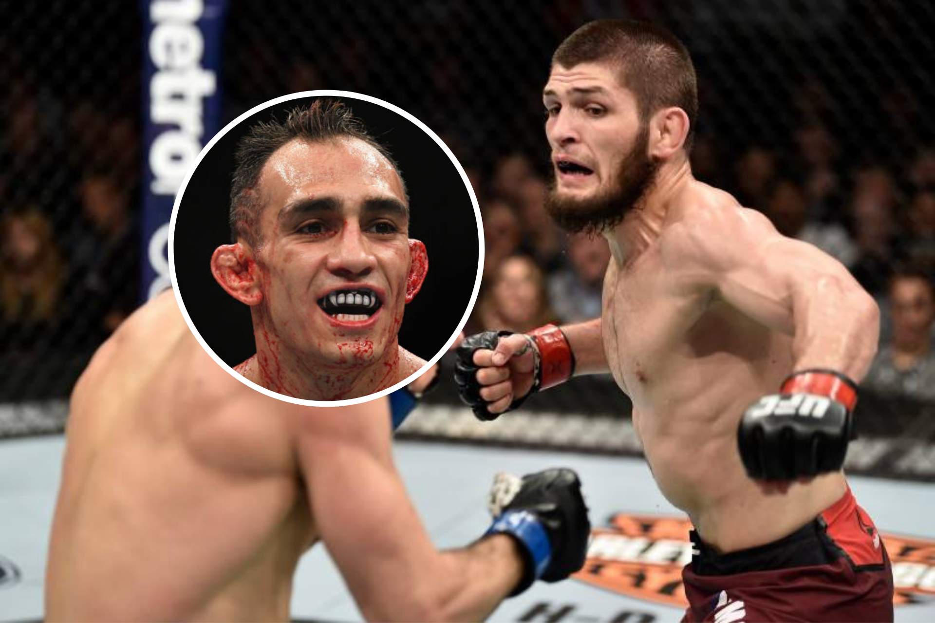Тони фергюсон (tony ferguson) статистика, биография, боец мма, рост и вес